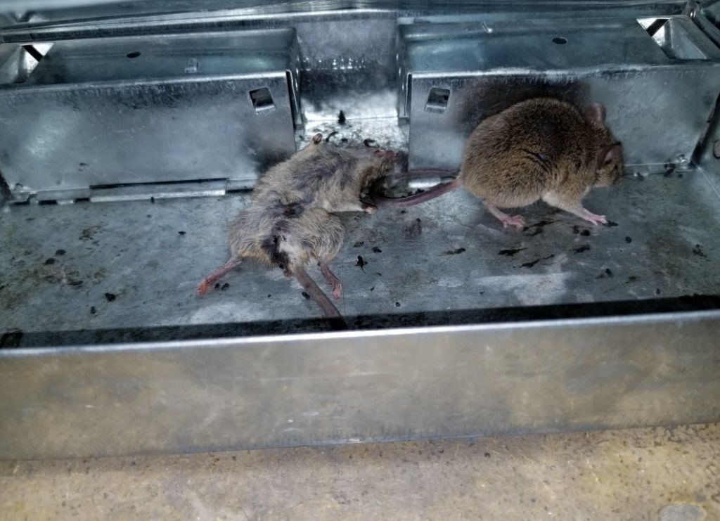 April 14 Kroger inspection